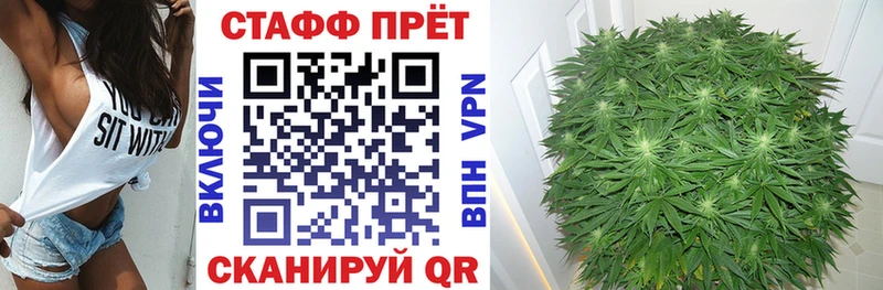 Что такое Мурино Кокаин  Alpha PVP  ГАШ  МАРИХУАНА  МЕФ 