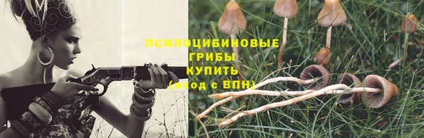 a pvp Кулебаки